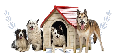 Ruff Luxury Inn