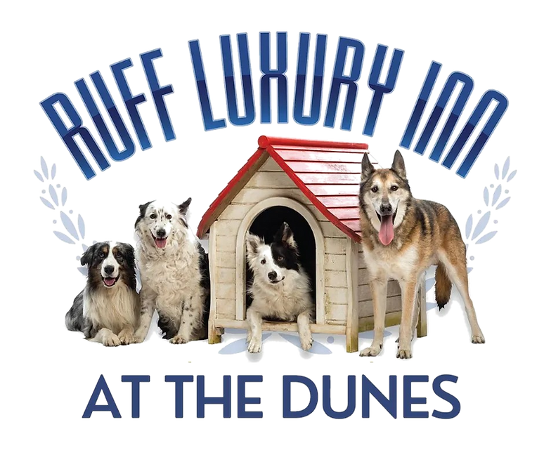 Ruff Luxury Inn At The Dunes